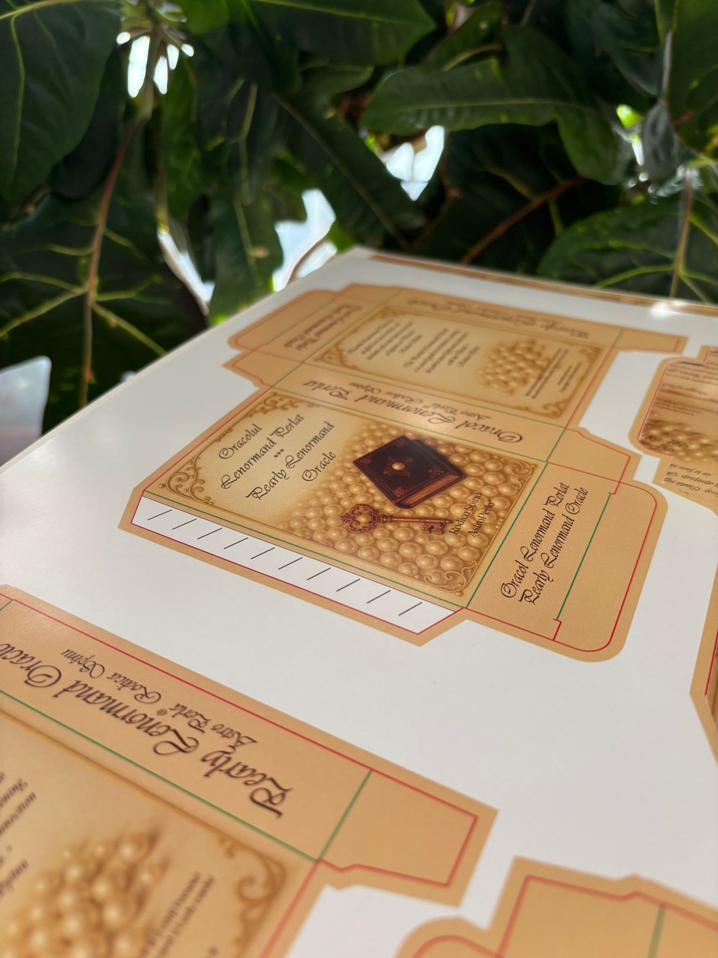 Oracolul Lenormand Perlat